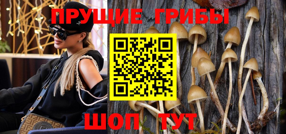 Псилоцибиновые грибы мицелий  Галлюциногенные грибы ЛСД  Вход с VPN  Железноводск 