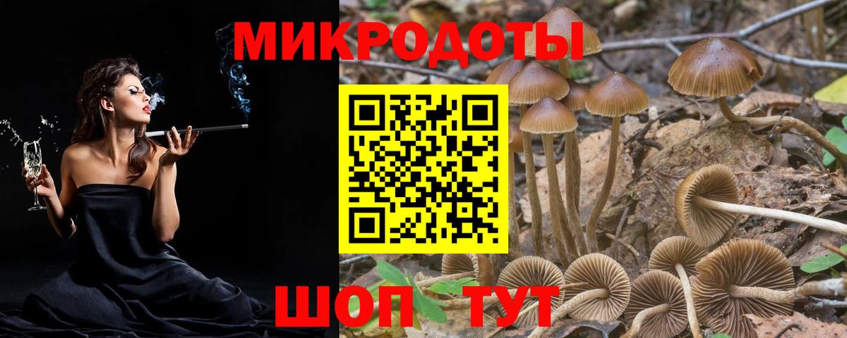 Альфа ПВП Железноводск